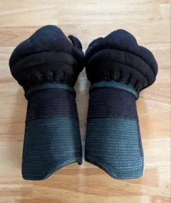 Item thumbnail for item 7dad4353-579d-4137-87b8-8073f161113c