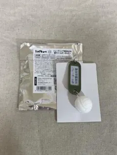 【新品】ハイキュートレーディング高校名付き鍵チャームキーホルダー 梟谷学園高校