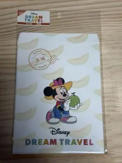 茨城県）ディズニー封筒