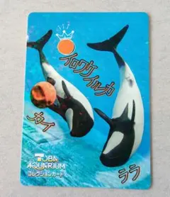 2026年最新】鳥羽水族館の人気アイテム - メルカリ