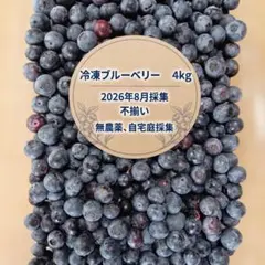 クール便】冷凍ブルーベリー 4kg 【着払い】 - メルカリ