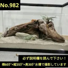 Item thumbnail for item f514dbb3-9727-471e-adcf-7026d2b5bd80