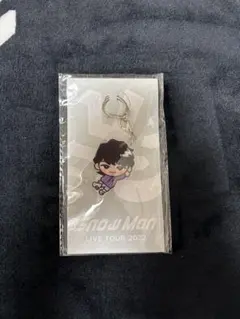 すのチルぶら下がりシリーズ アクリルキーホルダー 深澤辰哉