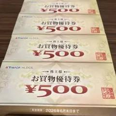 ヤマダデンキ　株主優待