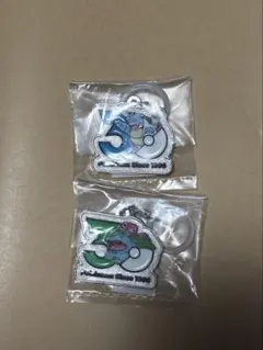 ポケモン 30周年 メタルチャームマスコット