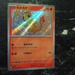 2026年最新】ヒトカゲ S 210/190の人気アイテム - メルカリ