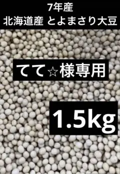 てて⭐︎様専用