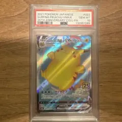 2026年最新】なみのりピカチュウ psa10の人気アイテム - メルカリ