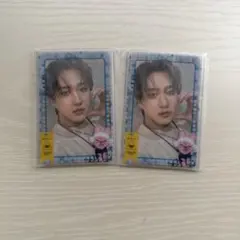 straykids オンラインくじ フォトカードスリーブセット チャンビン