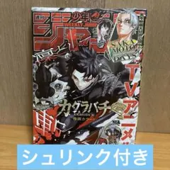 週刊少年ジャンプ 2026年24号 シュリンク付 新品未開封 カグラバチ