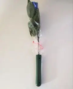 Item thumbnail for item 661e9bbd-0ed8-4714-b096-727d7b4a98c2