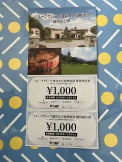 ベルーナグループ 優待割引券 1000円券 2枚