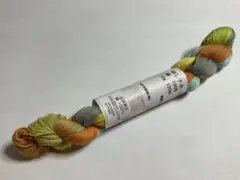 Item thumbnail for item 8e639466-2628-46a2-92ac-c543237194d6