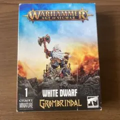 新品】オールクウォークラン アードボゥイ ウォーハンマーAOS オーク