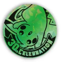 中国限定 ポケモン 30周年 ピカチュウ コイン 仕様⑥ GREEN ICE