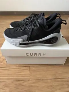 CURRY 12 25センチ