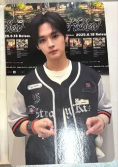 straykids スキズ リノ VR 入場特典