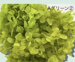 Gogh様 リクエスト 2点 まとめ商品－50