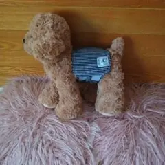 限定４個　犬用マナーベルト ストライプデザイン
