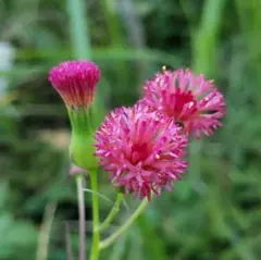 ぽんた様 リクエスト 3点 まとめ商品