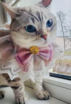 Item thumbnail for item 59dc6ecf-35bd-488a-a1c6-cb66da22d7ef