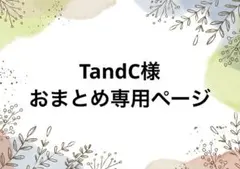 TandC様 リクエスト 10点 まとめ商品