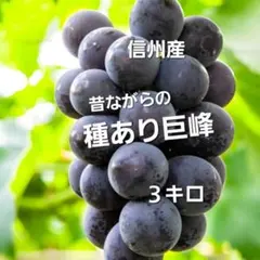 北海道産ノーザンルビー　訳あり小玉　20kg 北海道産ノーザンルビー 訳あり小玉 20kg - メルカリ