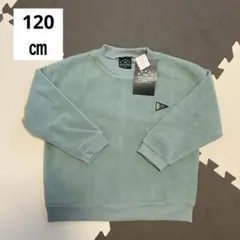Item thumbnail for item 5457978b-85e6-4588-9159-a44d28422e8b