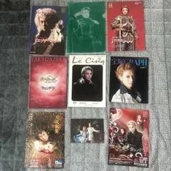 宝塚歌劇団　雪組 朝海ひかる　パンフレット　グッズ　計9点