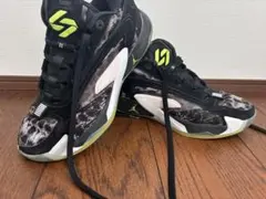 バスケットボールシューズ ブラック/ホワイト/グリーン ルカ2