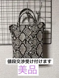 ヘビ柄コンパクトハンドバッグ