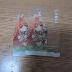 メル12121様 リクエスト 2点 まとめ商品