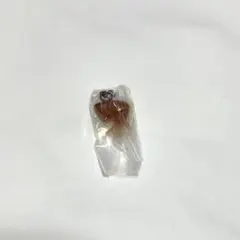 なめこ　めじるしアクセサリー