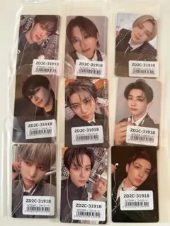 &TEAM 月狼 ユニバ トレカ ９枚セット