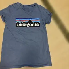 patagonia キッズ　半袖Tシャツ XL(14)