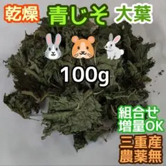 Item thumbnail for item 11d8eed0-f292-446f-acd1-49a54f86f18a