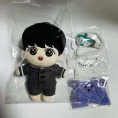 bts JIN ジン ぬいぐるみ 20cm マスター マスタニム - メルカリ