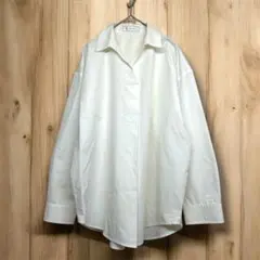 ロペピクニック　プルオーバーシャツ　長袖ブラウス　トップス　透け感　カジュアル