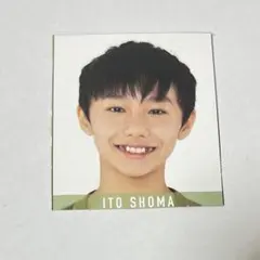 Myojo 明星 デタカ 厚紙 データカード カード 伊藤翔馬