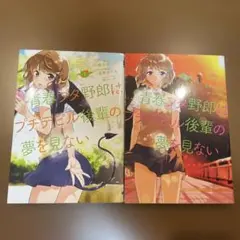 Item thumbnail for item 148f0a26-c5d7-4a4d-bea7-c122e3be9202