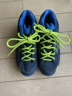 Item thumbnail for item 2991e1eb-e21b-41f1-a007-e8fc0a6b87ac