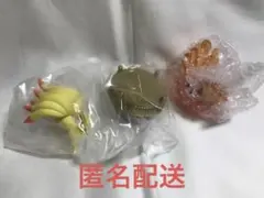 リーメント　キュウコン　光り輝くしんぴのキセキ　ポケモン