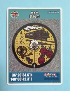 マンホールカード 鳥取県北栄町 名探偵コナン - メルカリ