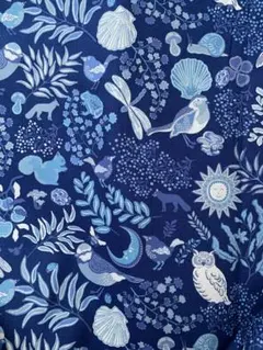 Item thumbnail for item 3bdc554c-615b-4853-85be-039824a0f610