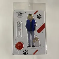 ハイキュー　孤爪研磨 アクリルスタンド