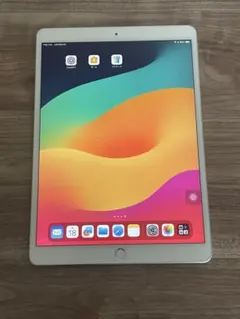 iPad Air 第3世代 10.5 インチ