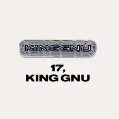 CEN+RAL RANDOM PINS ピンズ 17