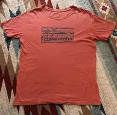 patagonia オーガニックコットン Tシャツ　160cm程度