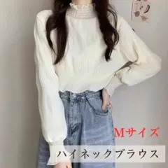 シアートップス シースルー カットソー 長袖 トップス ホワイト #0122