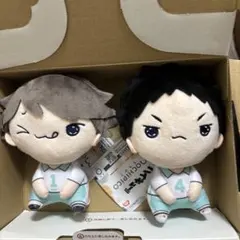 もちぴこ　ハイキュー！　及川　岩泉　セット